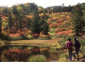Autumn leaves seen in Hokkaido